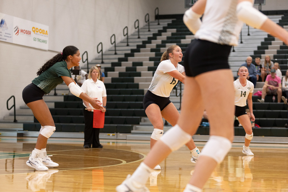 %_tempFileName1M6A4415%