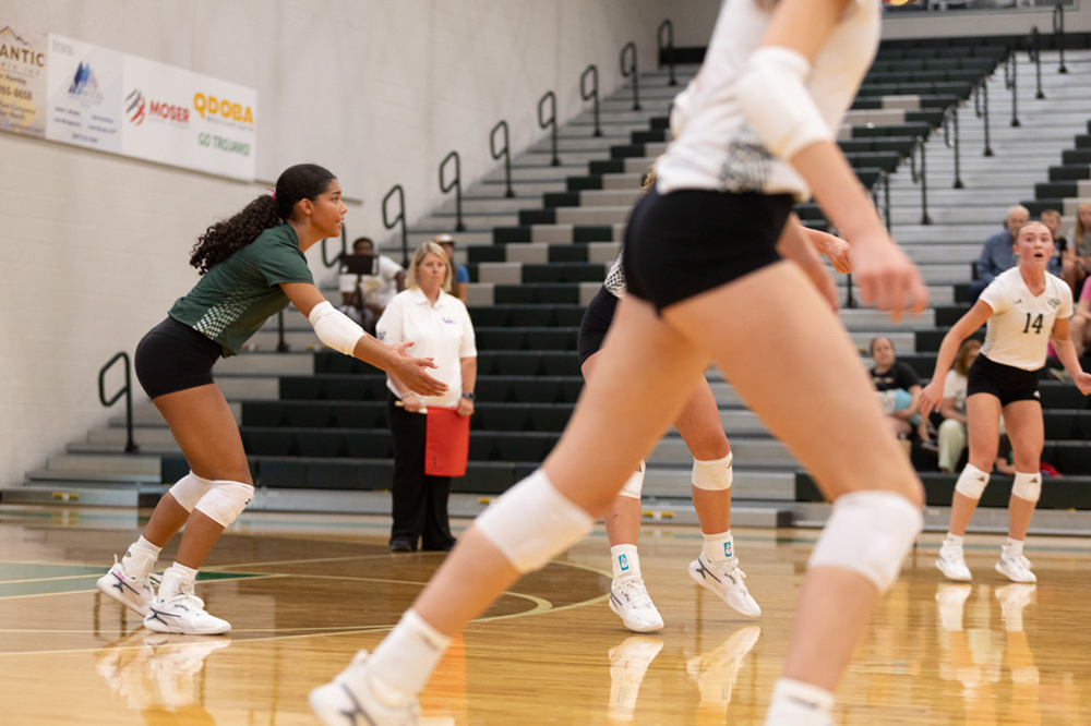 %_tempFileName1M6A4417%