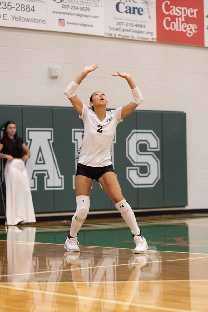 %_tempFileName1M6A4425%