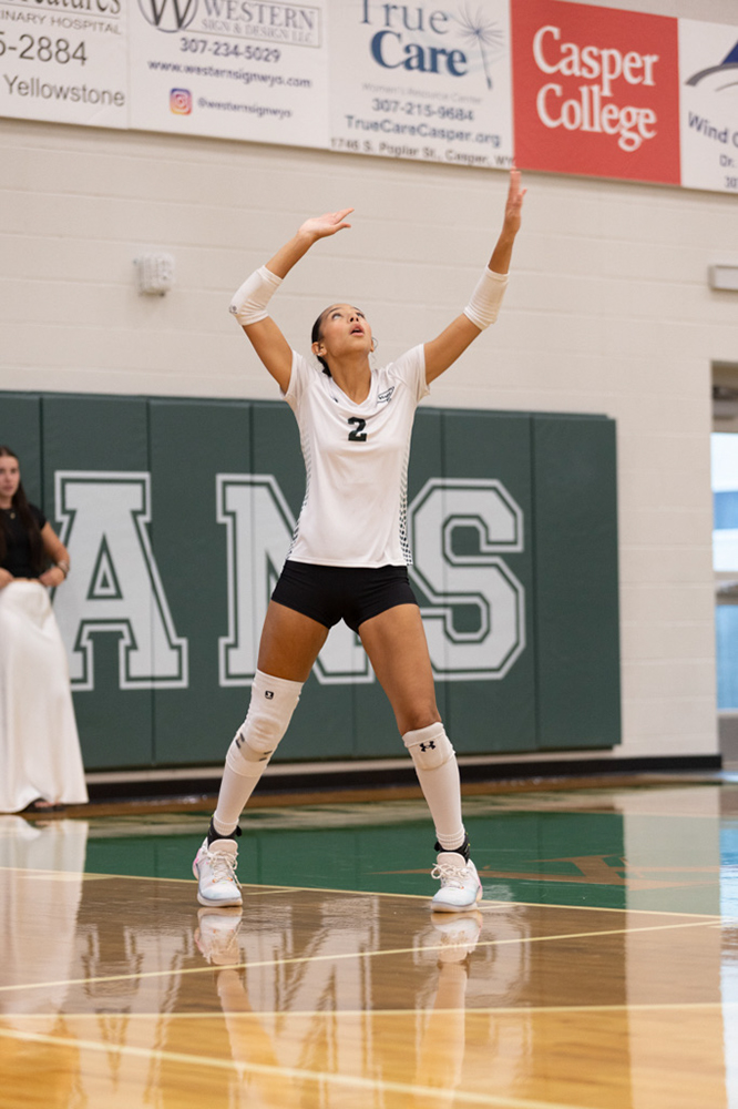 %_tempFileName1M6A4426%