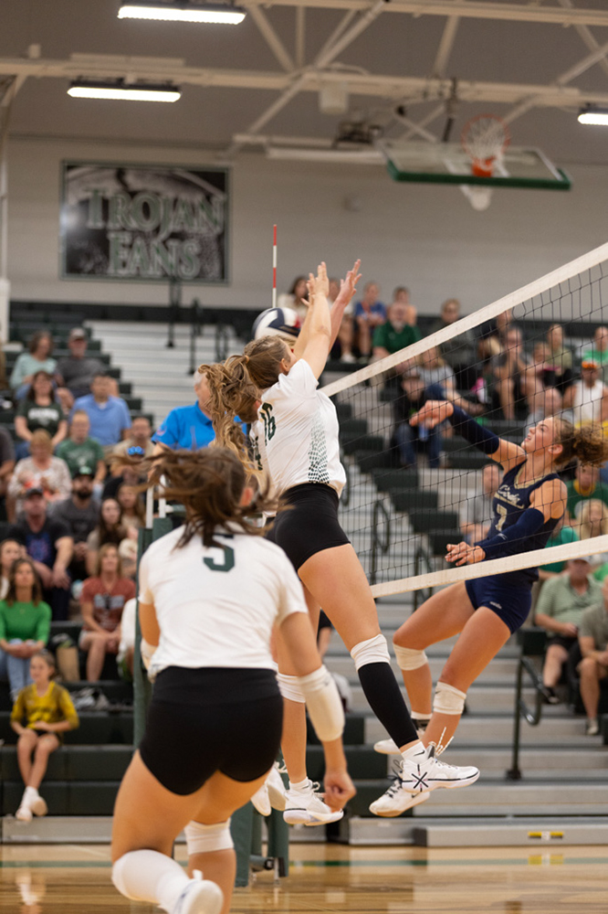 %_tempFileName1M6A4439%