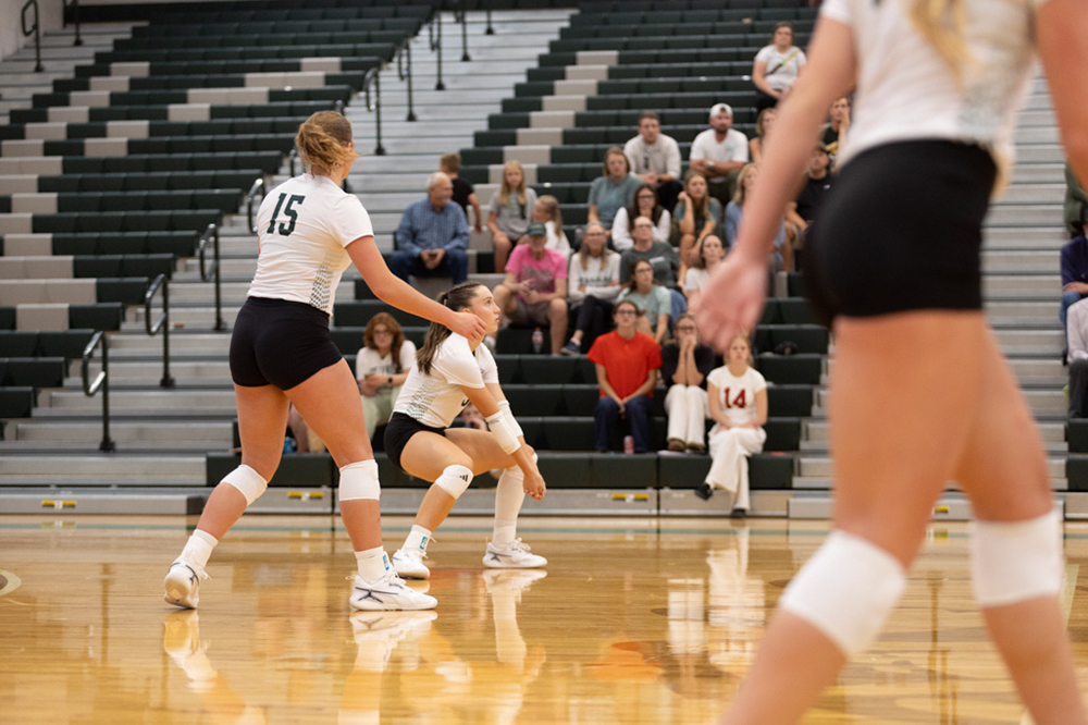 %_tempFileName1M6A4446%