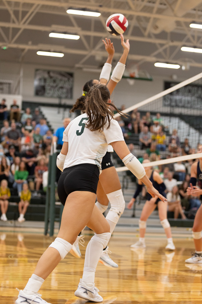 %_tempFileName1M6A4458%