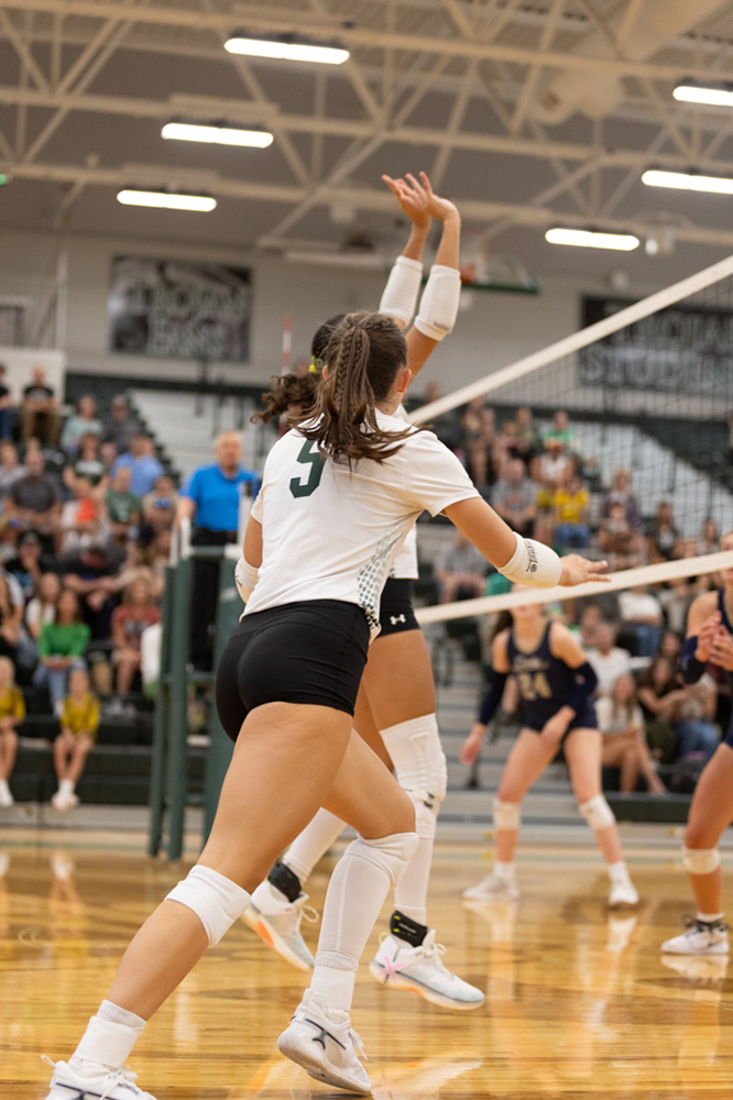 %_tempFileName1M6A4459%