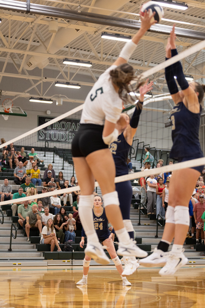 %_tempFileName1M6A4505%