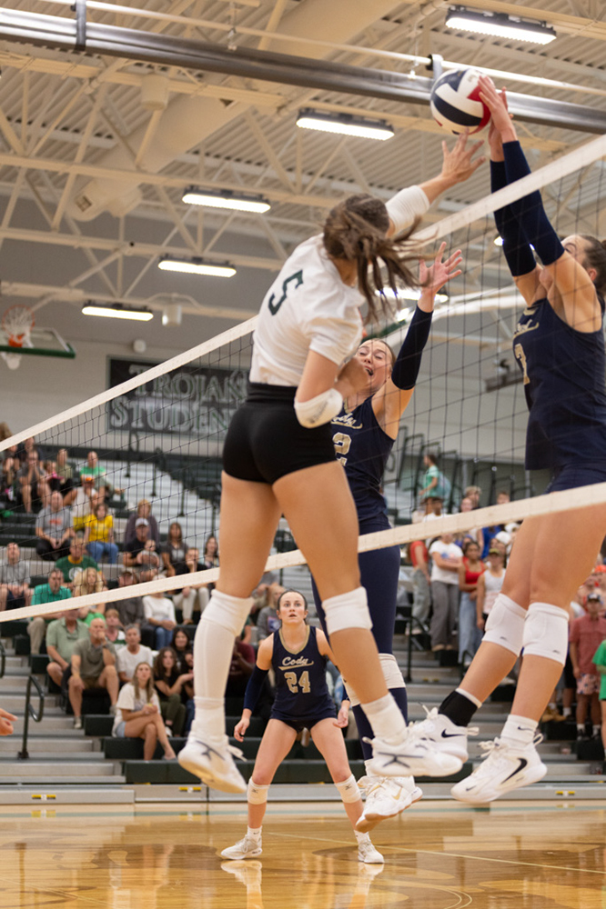 %_tempFileName1M6A4506%