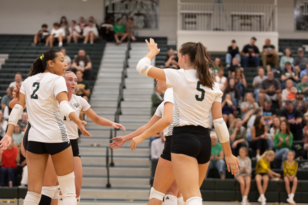 %_tempFileName1M6A4519%