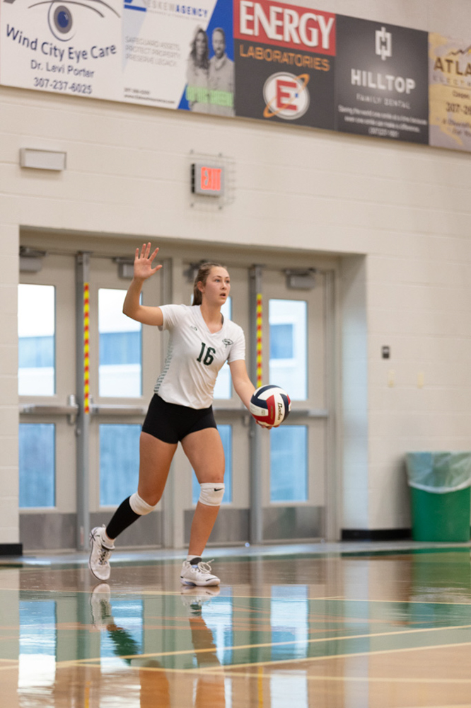 %_tempFileName1M6A4559%