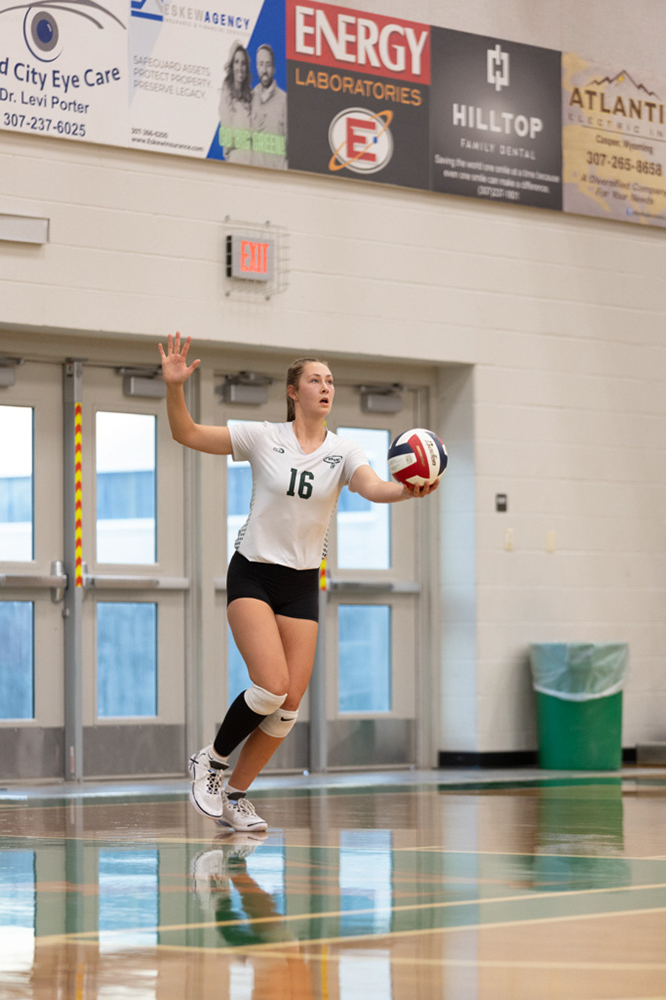 %_tempFileName1M6A4561%