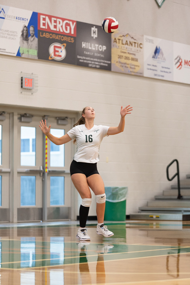 %_tempFileName1M6A4562%