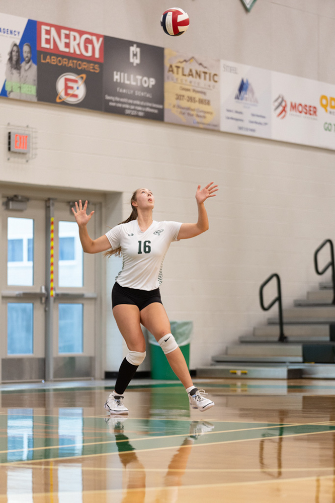 %_tempFileName1M6A4563%