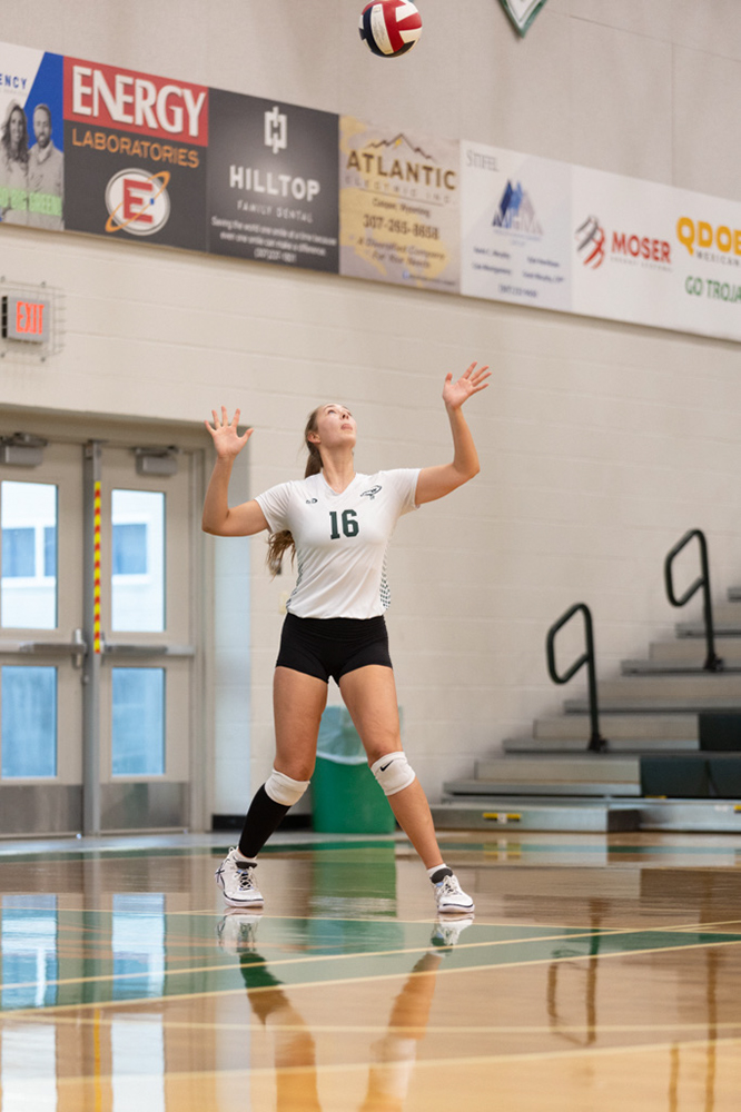 %_tempFileName1M6A4564%