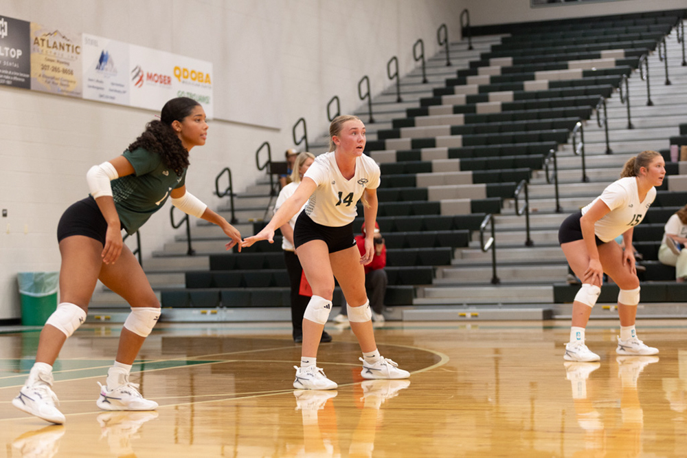 %_tempFileName1M6A4573%