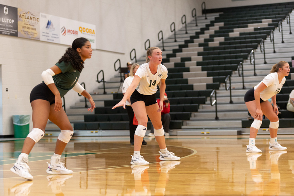 %_tempFileName1M6A4574%