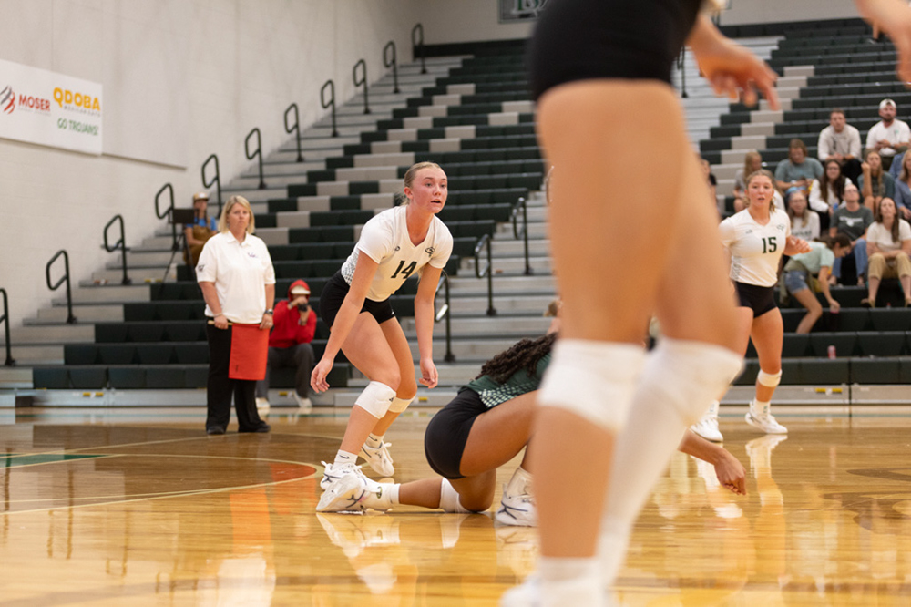 %_tempFileName1M6A4580%