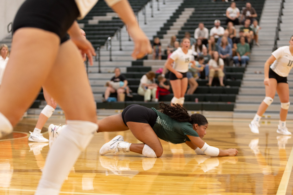 %_tempFileName1M6A4584%