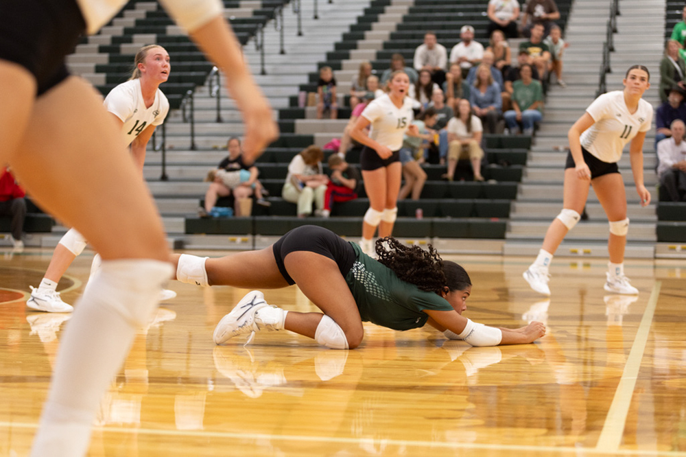 %_tempFileName1M6A4585%