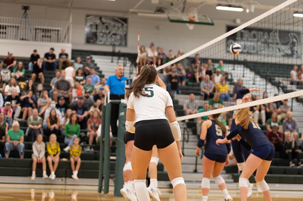 %_tempFileName1M6A4593%