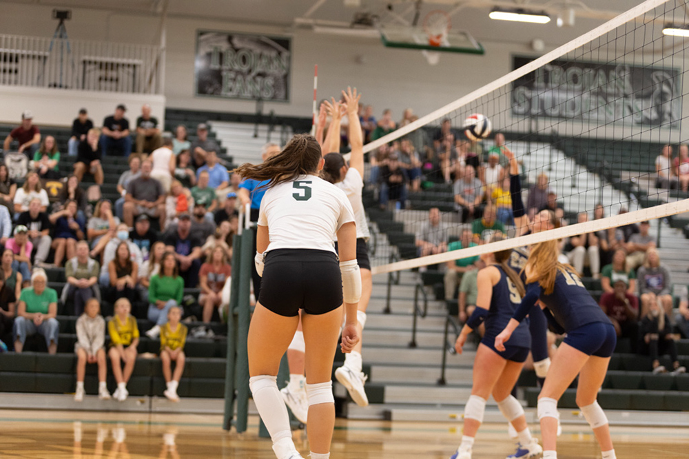 %_tempFileName1M6A4595%