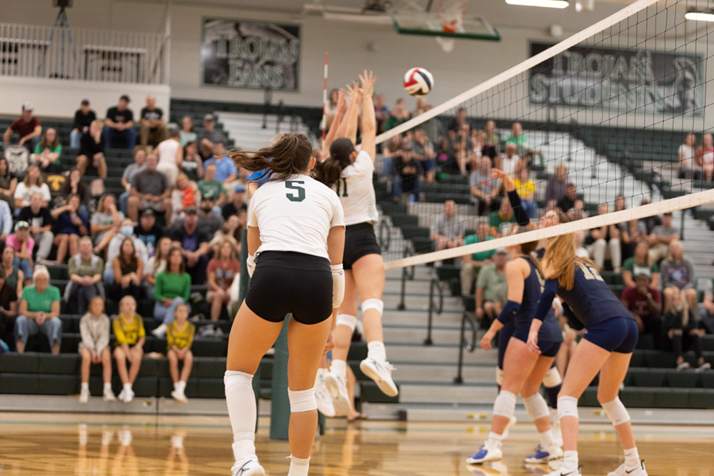 %_tempFileName1M6A4596%