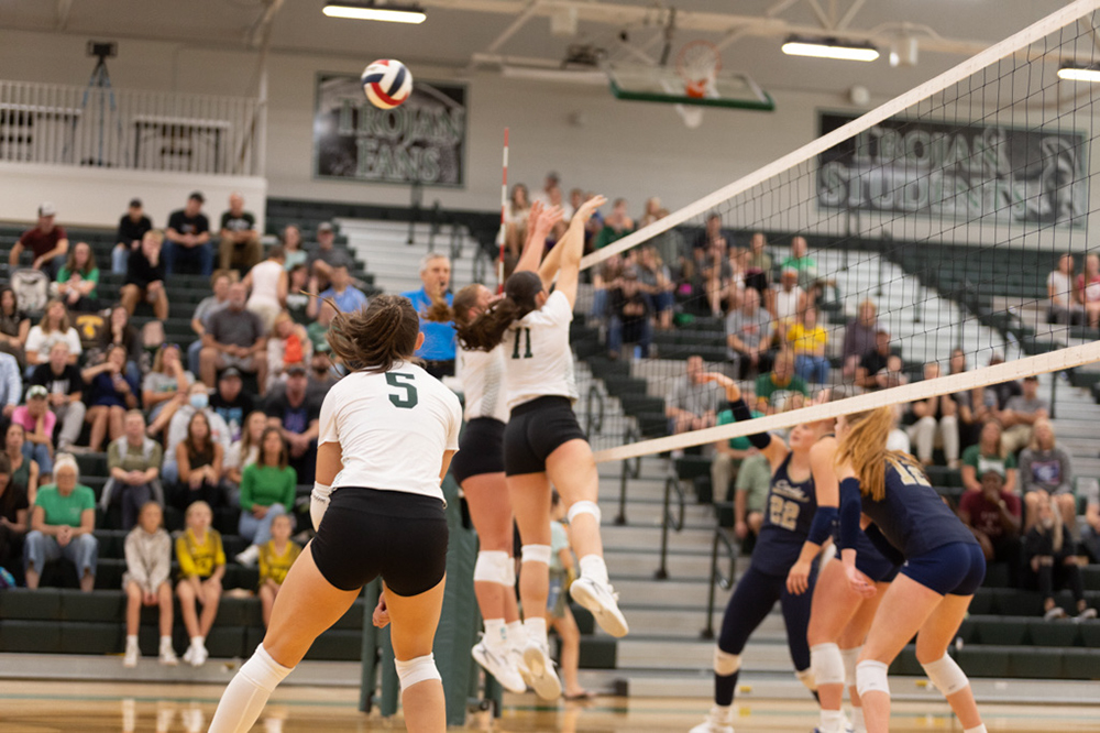 %_tempFileName1M6A4598%