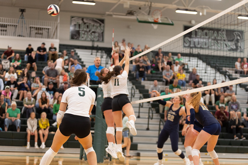 %_tempFileName1M6A4599%