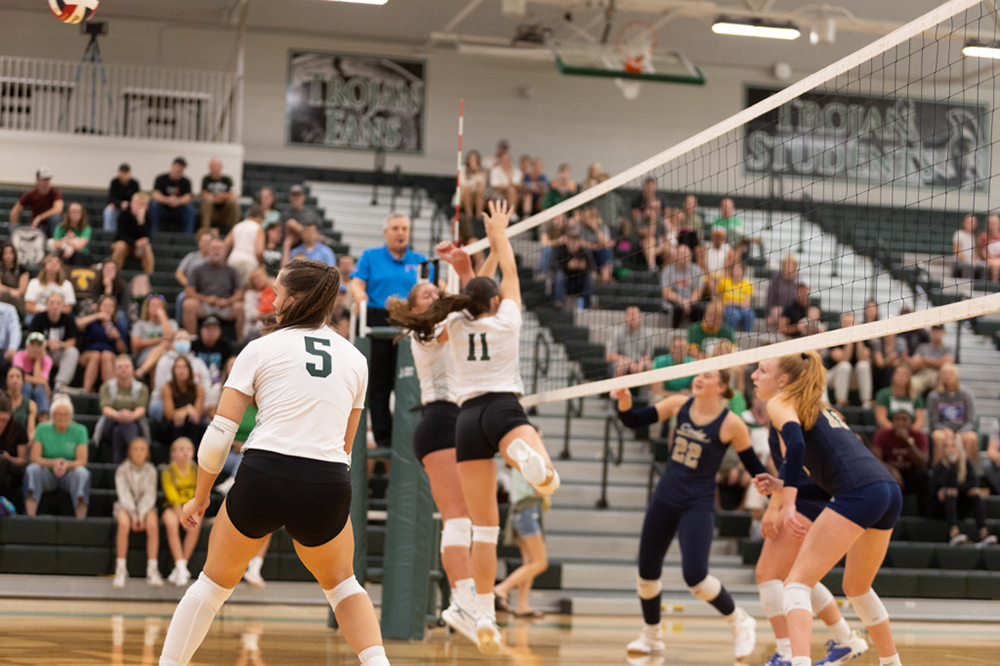 %_tempFileName1M6A4600%