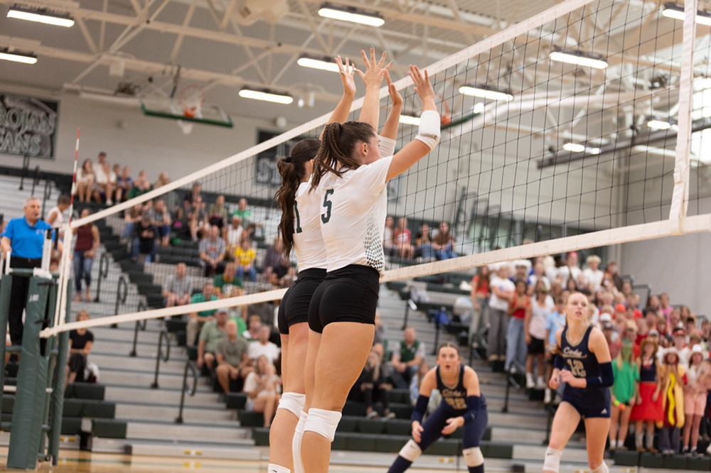 %_tempFileName1M6A4601%