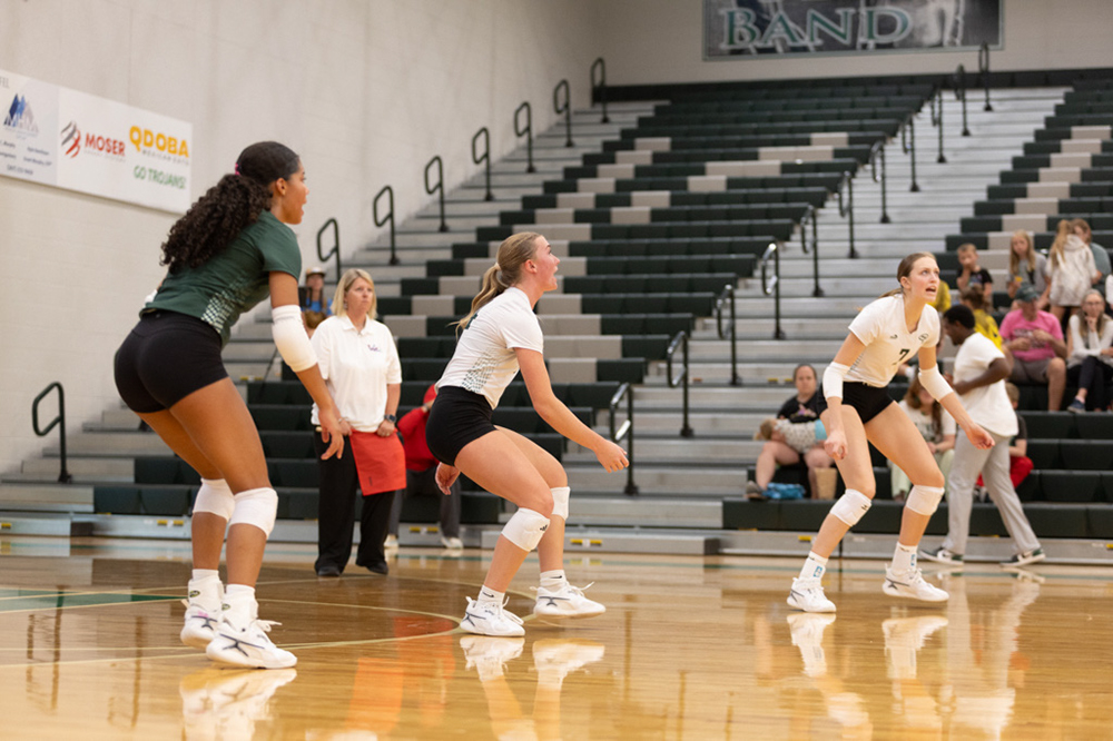 %_tempFileName1M6A4634%