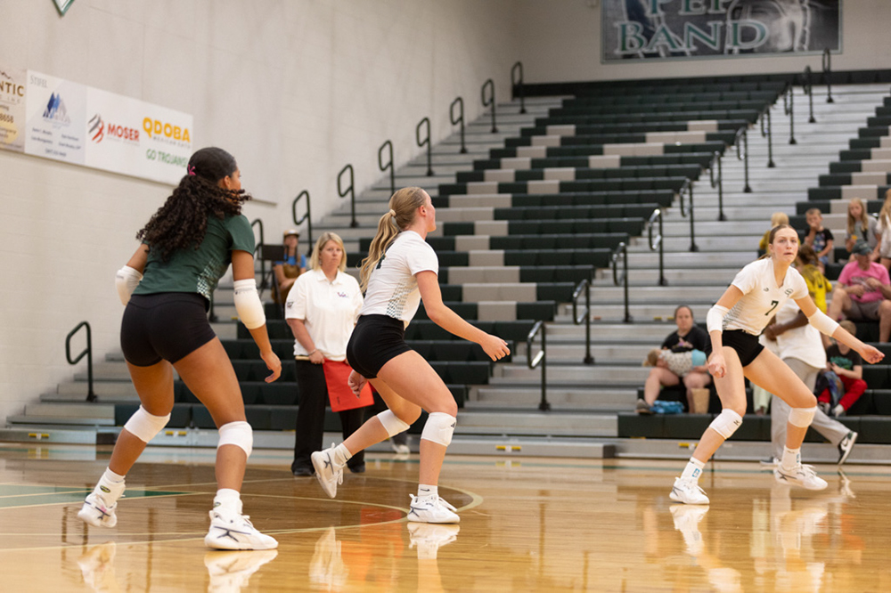 %_tempFileName1M6A4636%