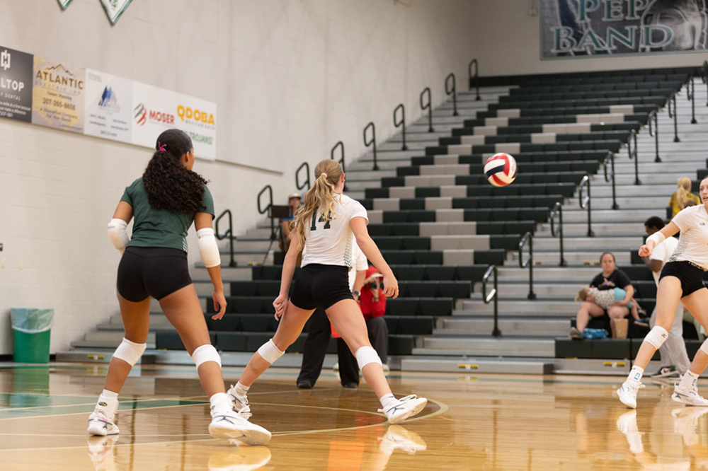 %_tempFileName1M6A4639%