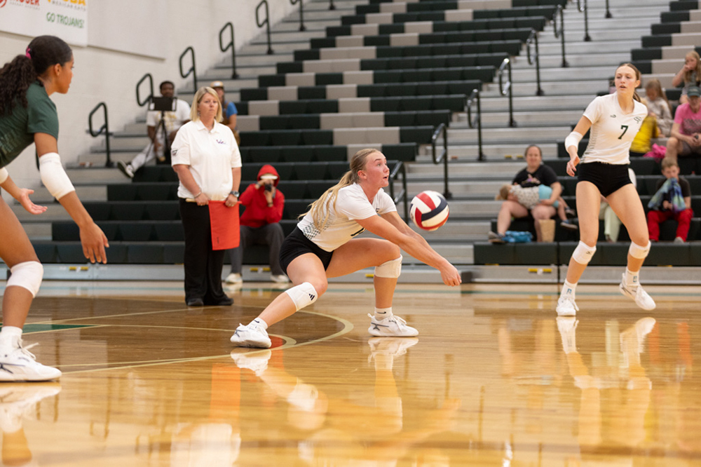 %_tempFileName1M6A4646%