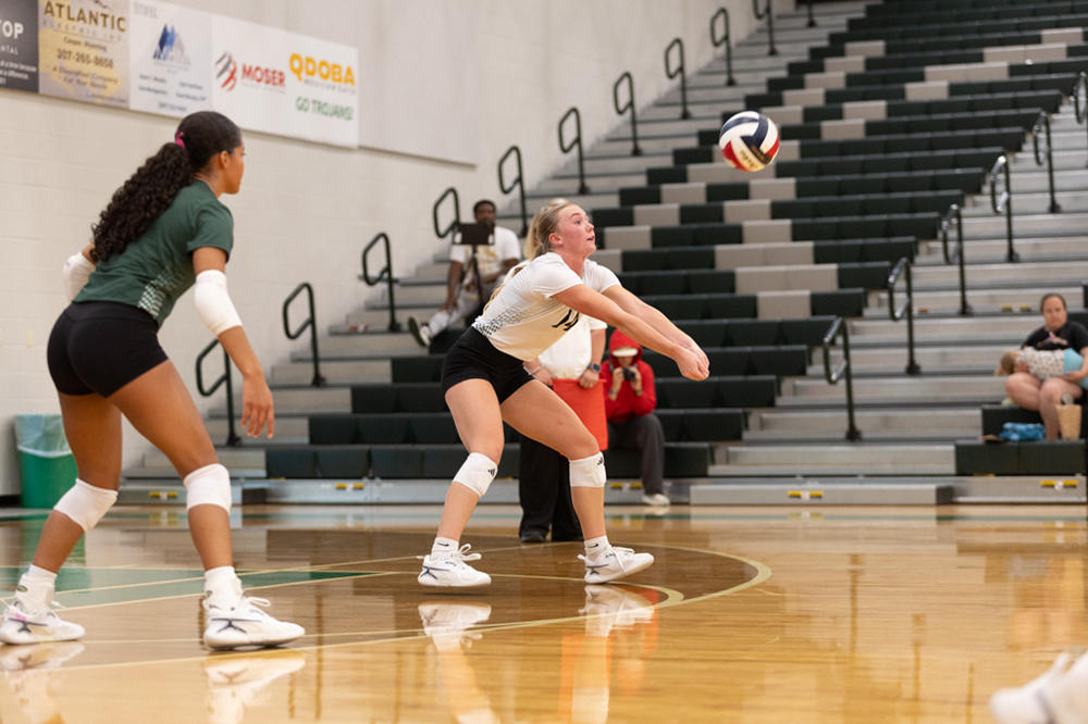 %_tempFileName1M6A4655%