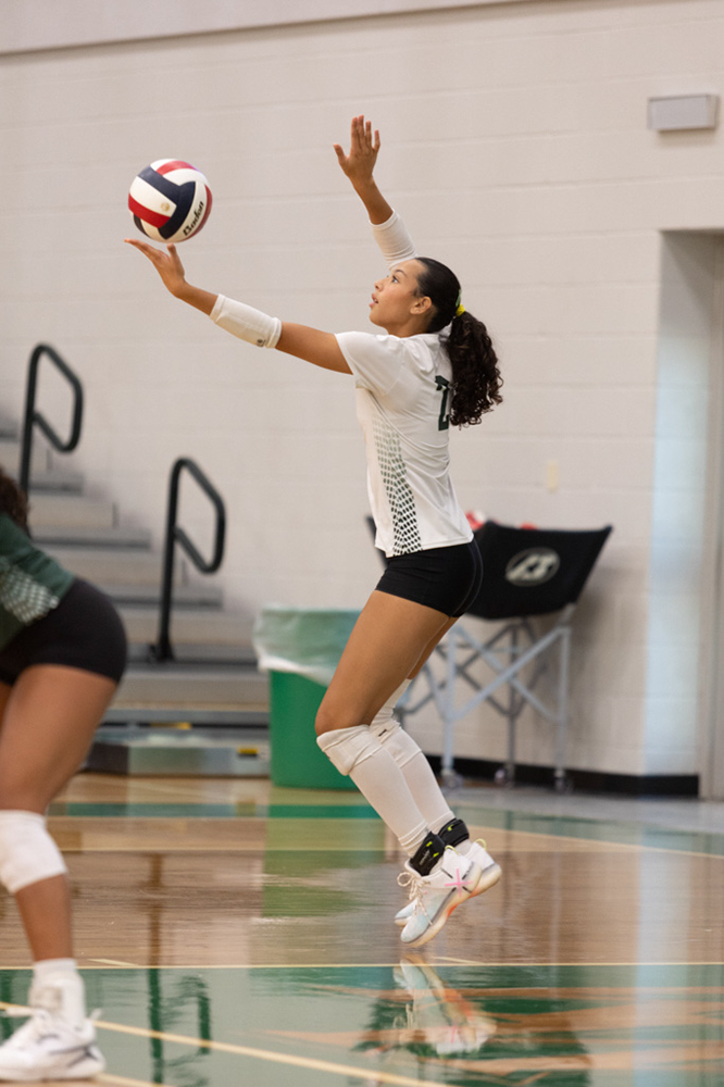 %_tempFileName1M6A4754%