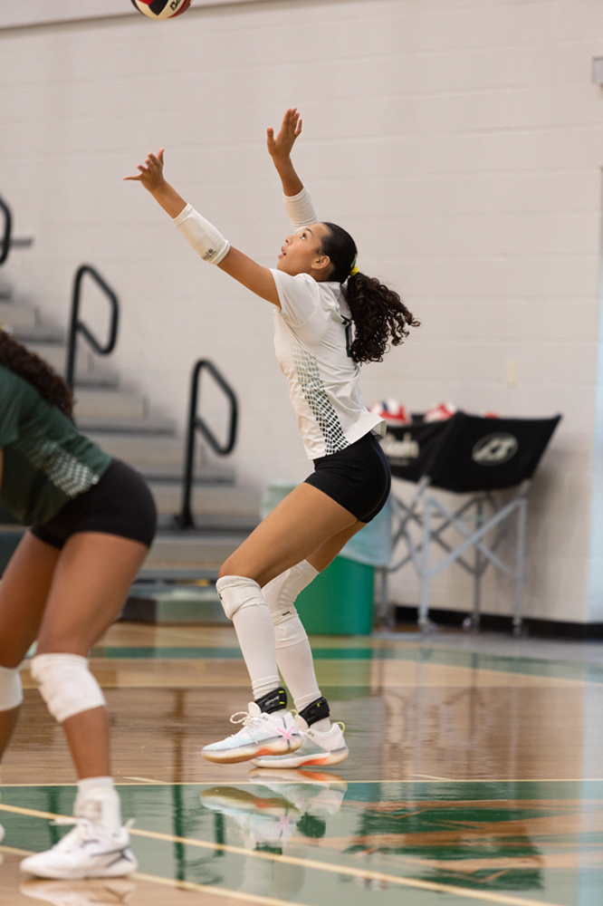 %_tempFileName1M6A4756%