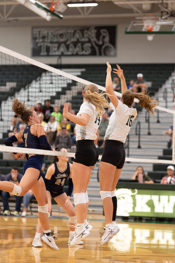 %_tempFileName1M6A4774%