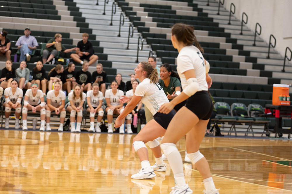 %_tempFileName1M6A4778%