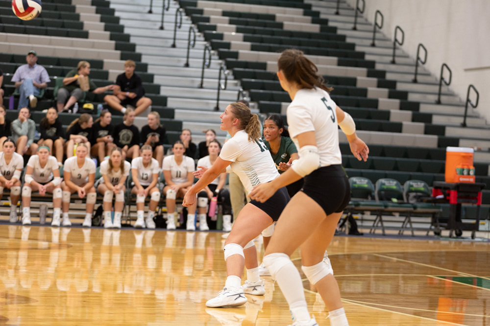 %_tempFileName1M6A4779%