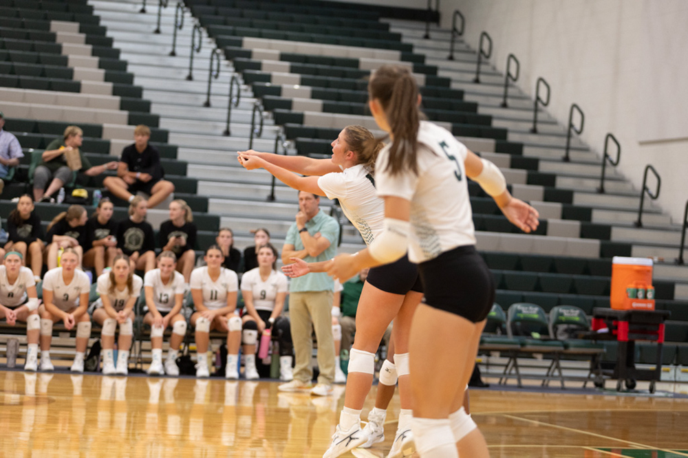 %_tempFileName1M6A4784%