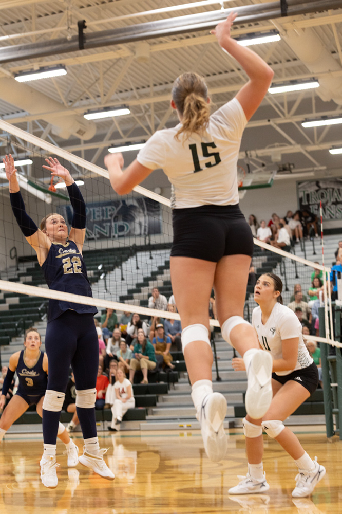 %_tempFileName1M6A4913%