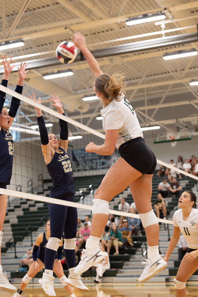 %_tempFileName1M6A4916%