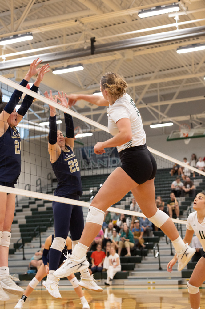 %_tempFileName1M6A4917%