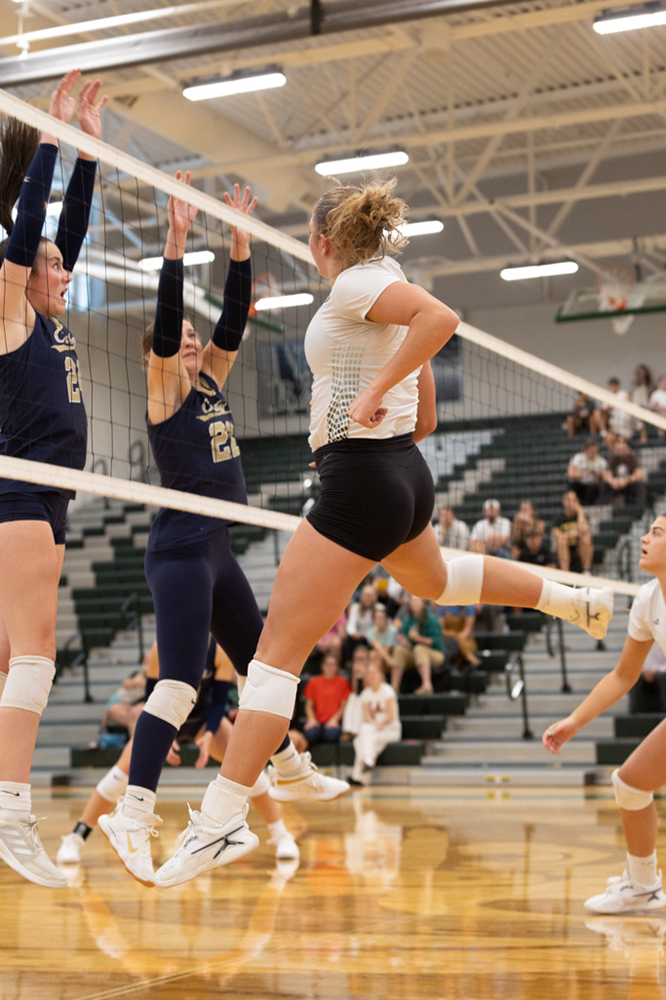 %_tempFileName1M6A4919%