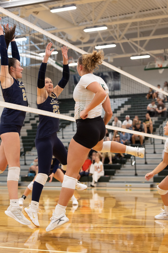 %_tempFileName1M6A4920%