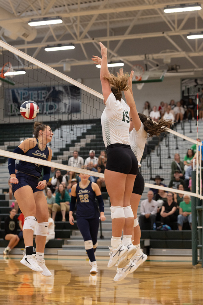 %_tempFileName1M6A4960%