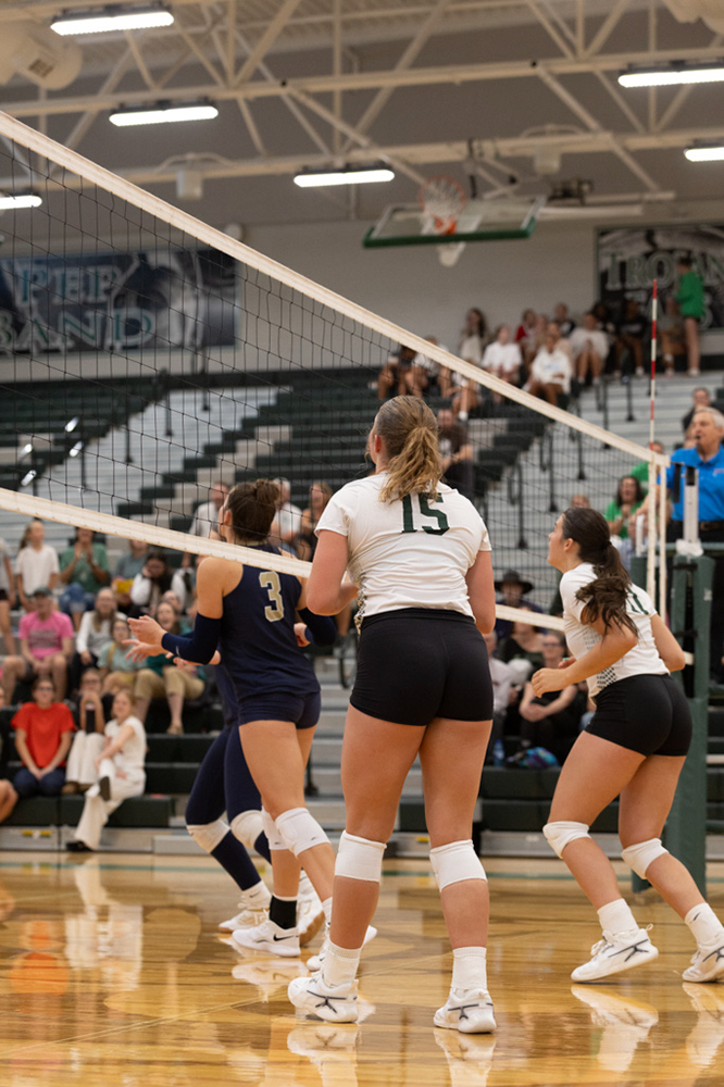 %_tempFileName1M6A4965%