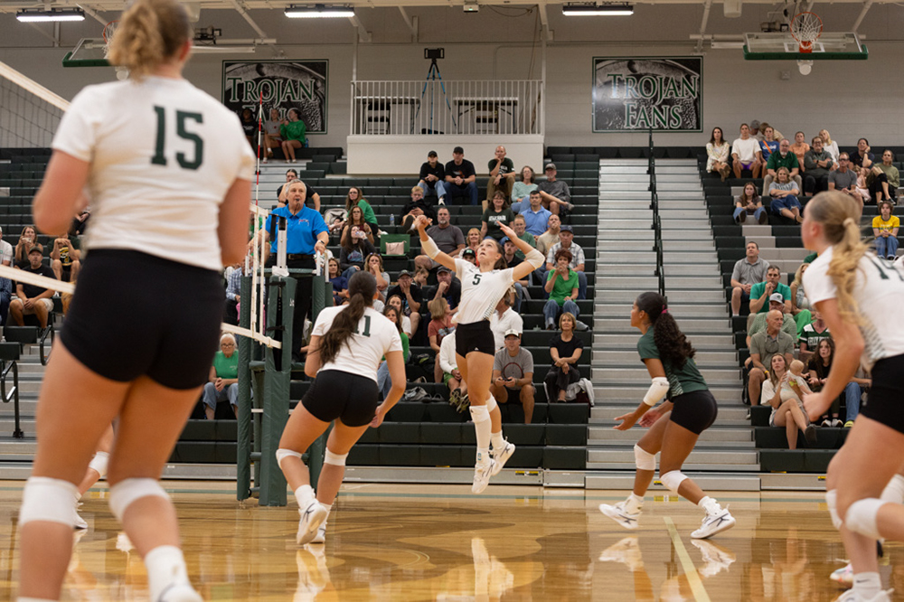 %_tempFileName1M6A4981%