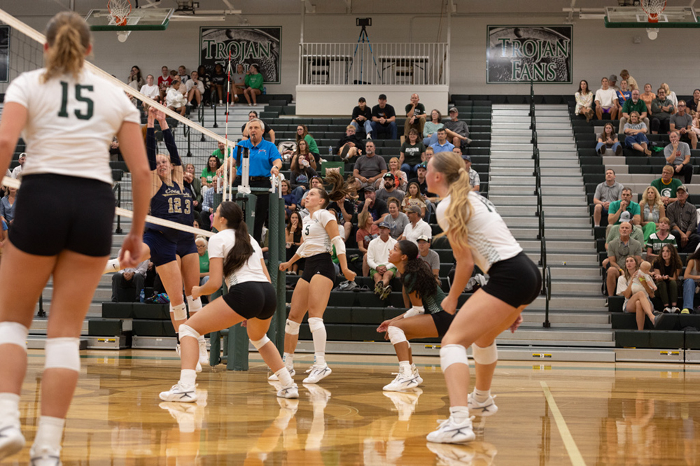 %_tempFileName1M6A4990%