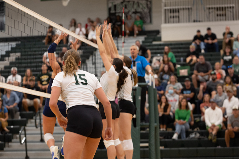 %_tempFileName1M6A4991%