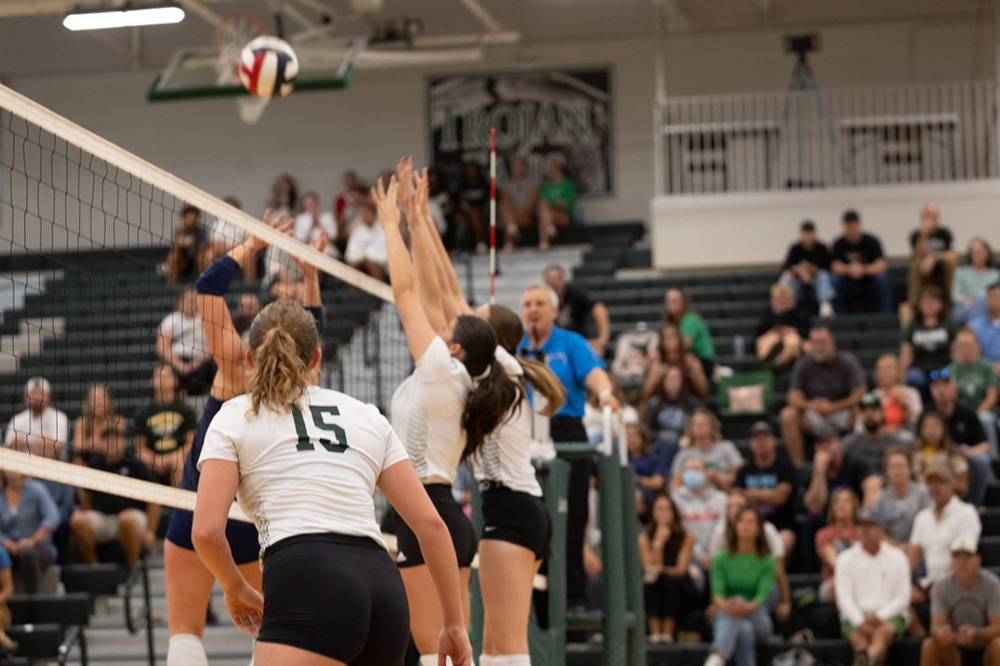 %_tempFileName1M6A4992%